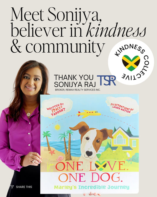 Kindness Collective Sponsor — Sponsor a Dozen Books. Inspire a Hundred Conversations.