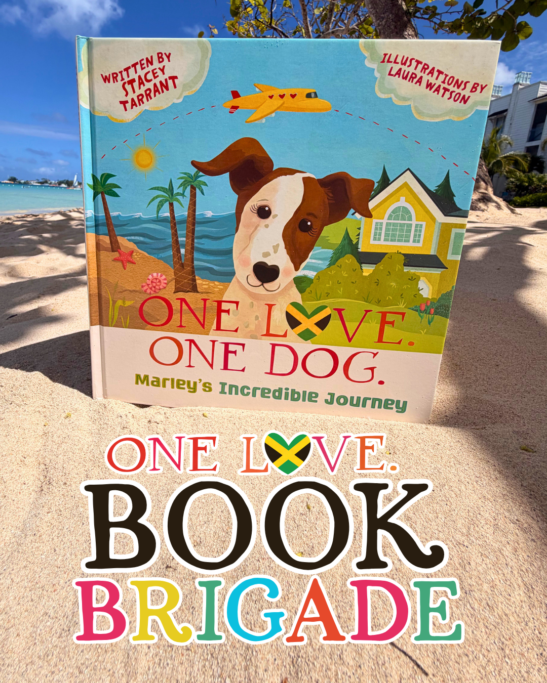 One Love Book Brigade - Donate a BOOK Campaign