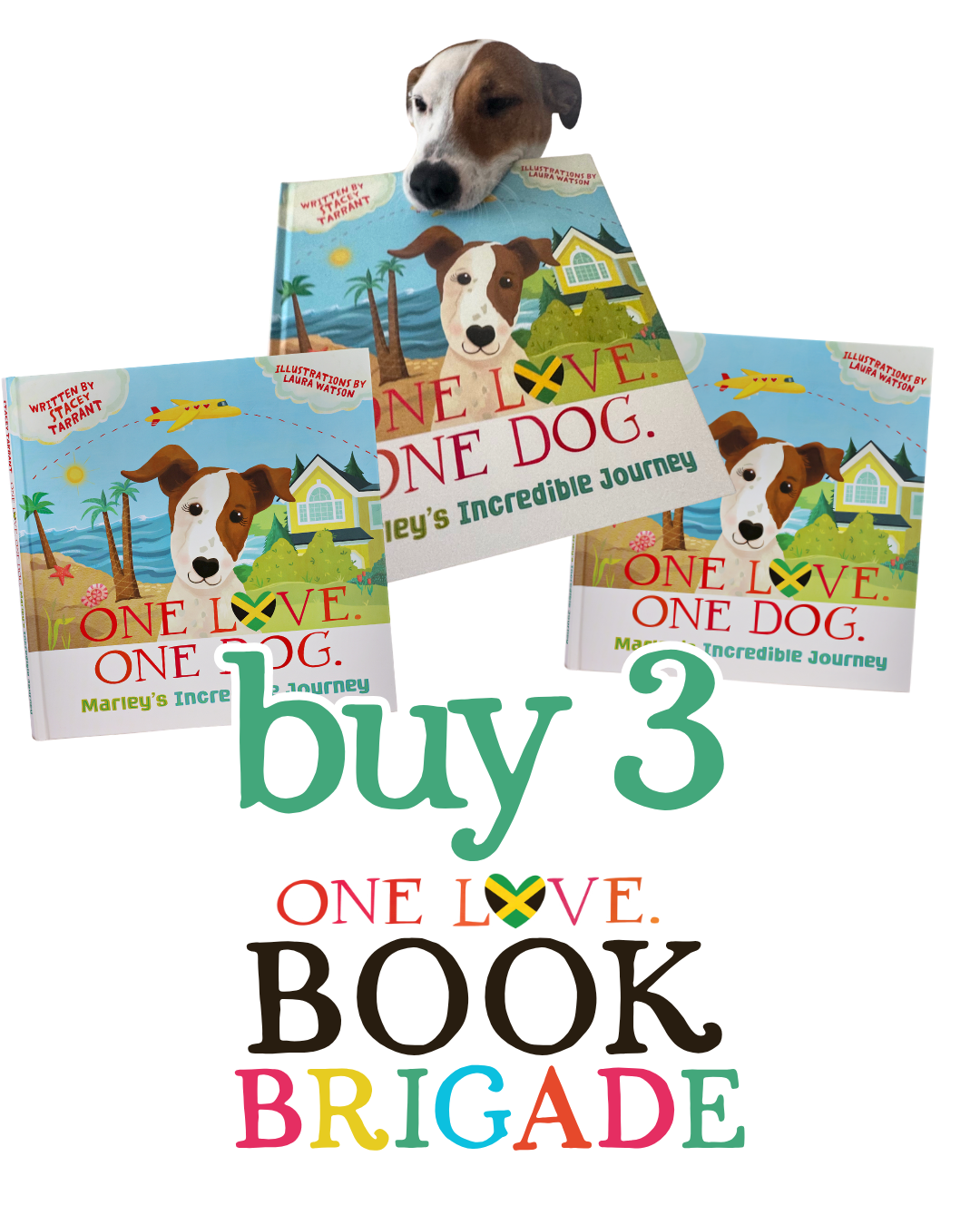 One Love Book Brigade - Donate a BOOK Campaign